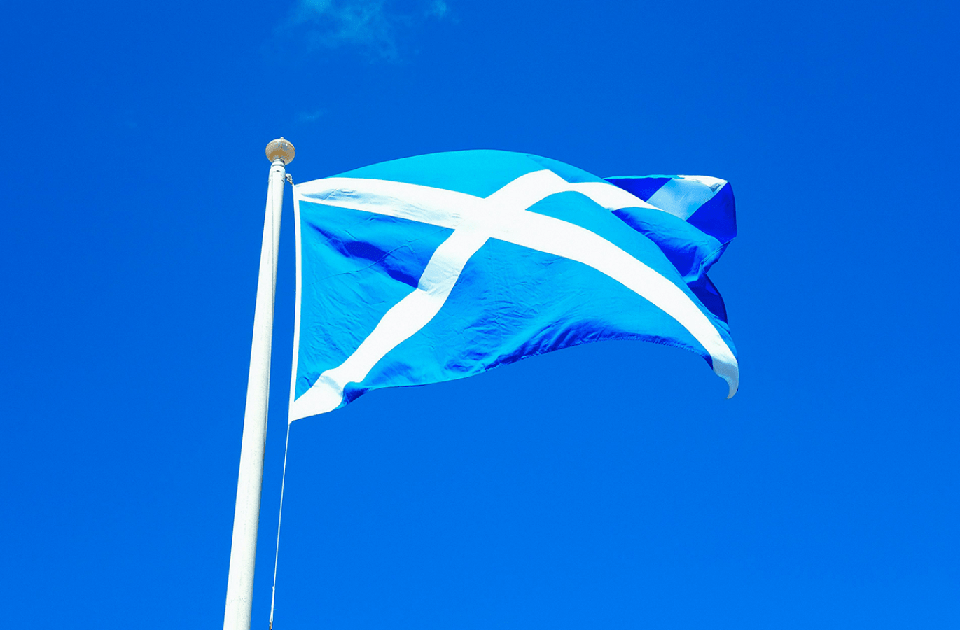 scottish flag free stock